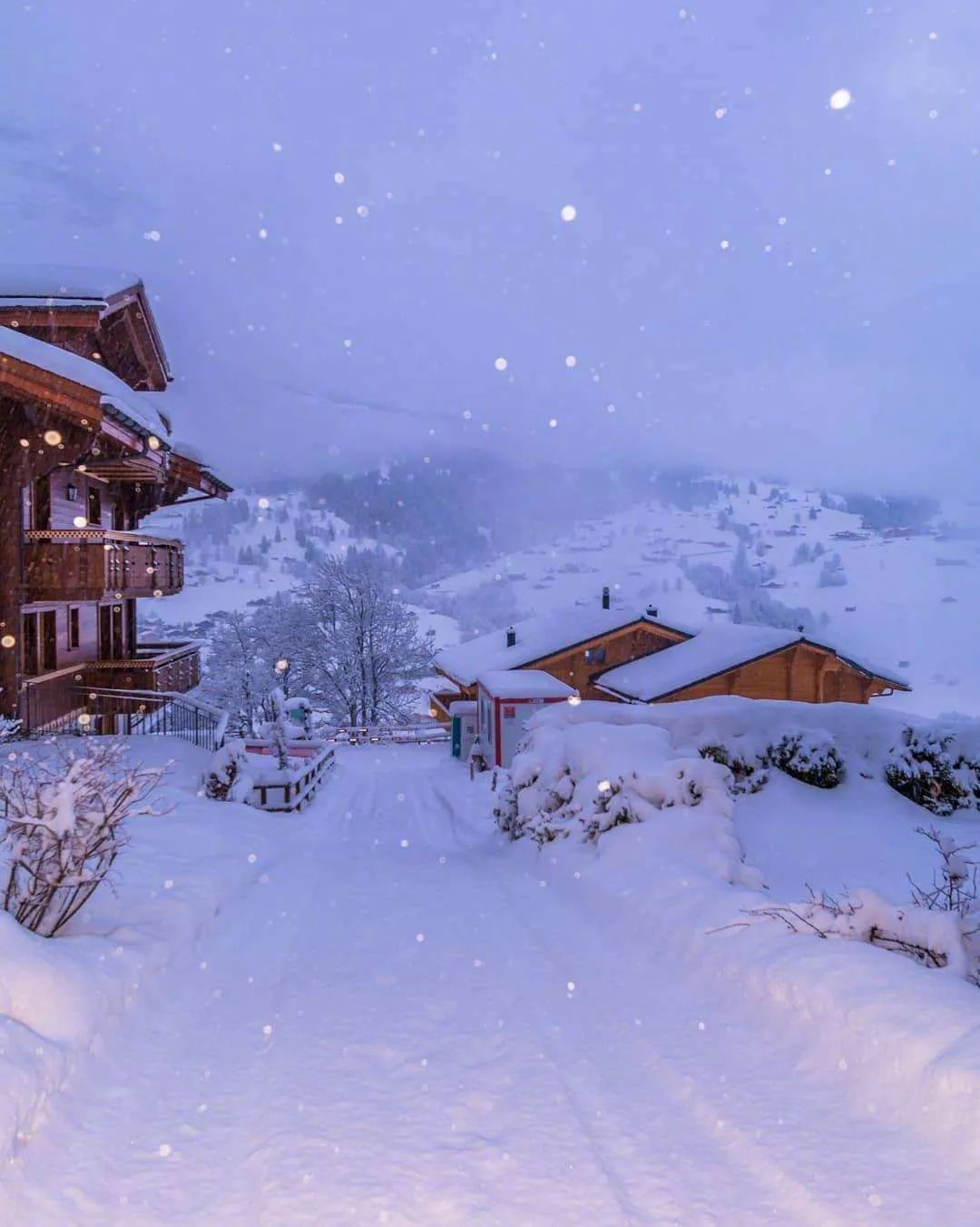 大雪拥蓬户 寒梦不成归，十五首雪夜的诗词，欣赏童话般美好的雪夜