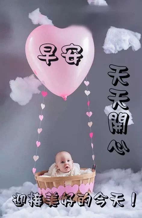 早上好动态祝福 微信最美早上好图片 送你一朵长寿花，祝你长寿不老图片