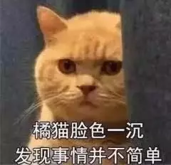 十二生肖里竟然没猫？猫：你再仔细看看，十二生肖里每个都是我