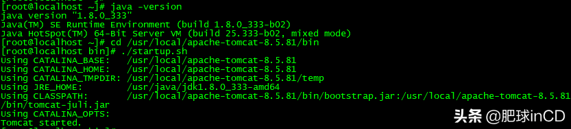 完整测试CentOS 8迁移到阿里龙蜥（Anolis）8 全过程