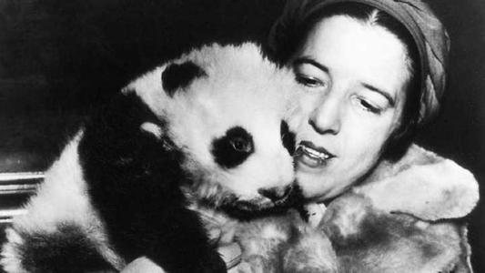 曾有个女人将活体大熊猫走私出中国，海关登记：携带哈巴狗一只