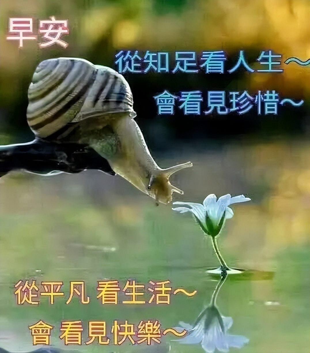美好温暖的早上好动态祝福说说图片 不管多远的路，都能走到尽头图片