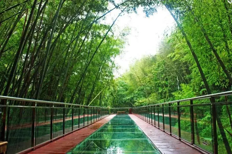 贵州十大冷门景点，人少景美好玩