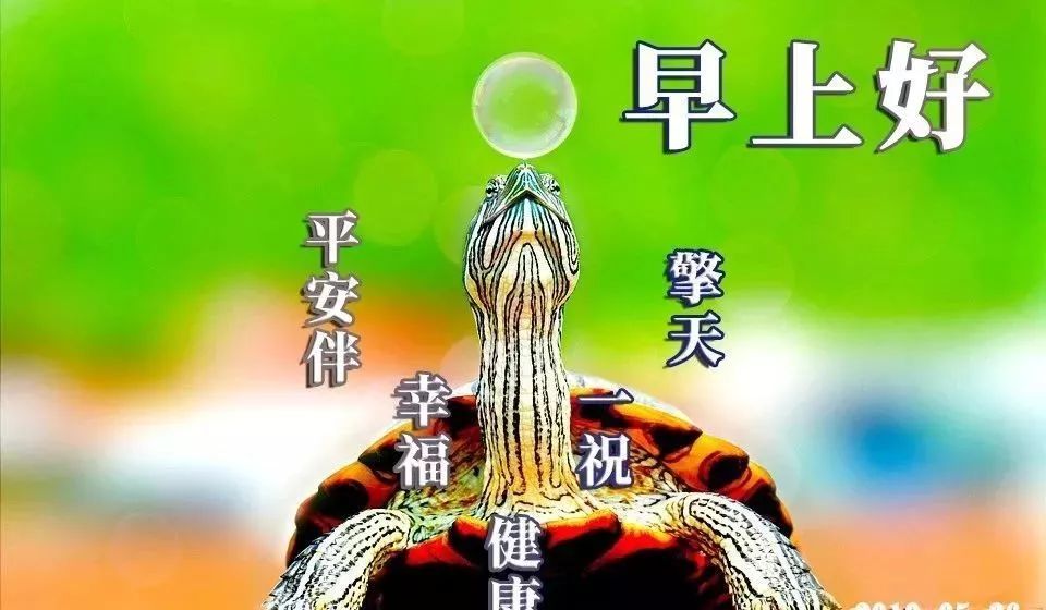 周末清晨祝福早上好的动态图片，阳光的早上好问候祝福语图片