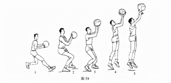 「篮球教学」篮球必备技战术图解