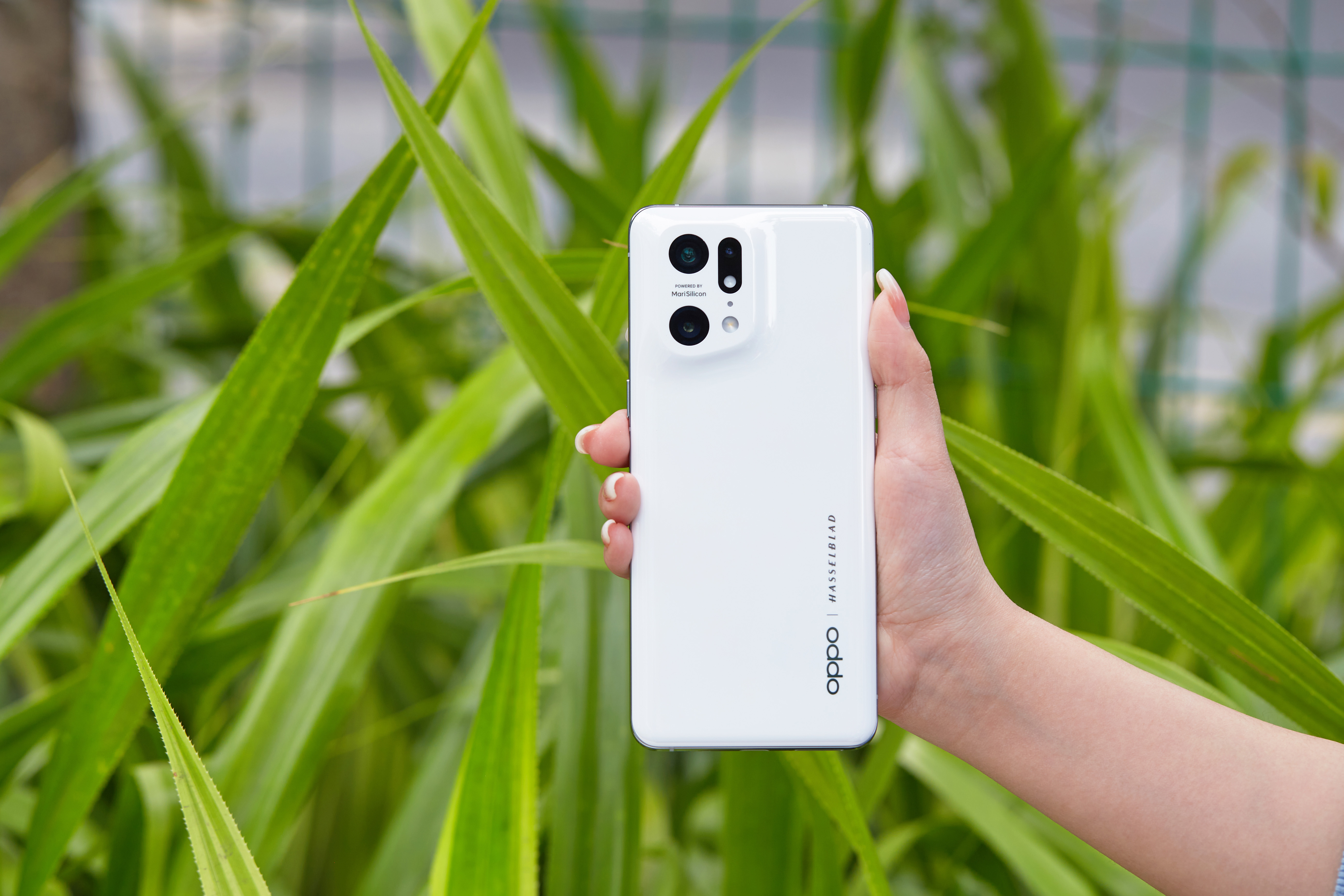 买手机不一定要买最新最贵的，这三款老旗舰很适合打工人，太香了