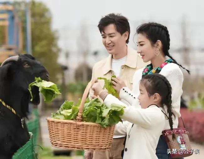 黄奕情史，情散聂远，情断姜凯，情绝黄毅清，上错花轿嫁错郎