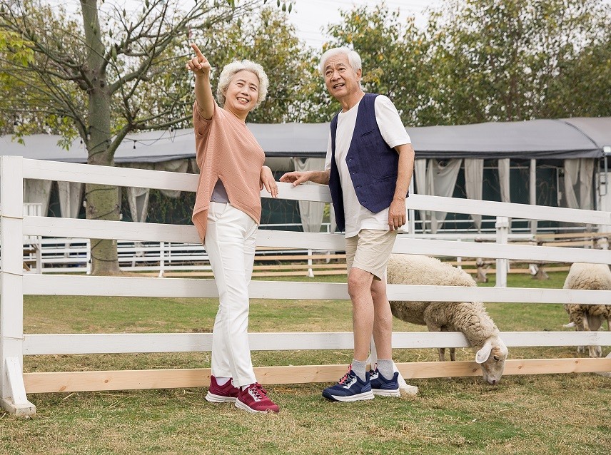 老人鞋什么牌子最舒服？穿上这双足力健妈妈鞋就知道