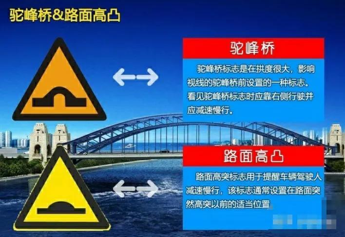科目一要点技巧总结
