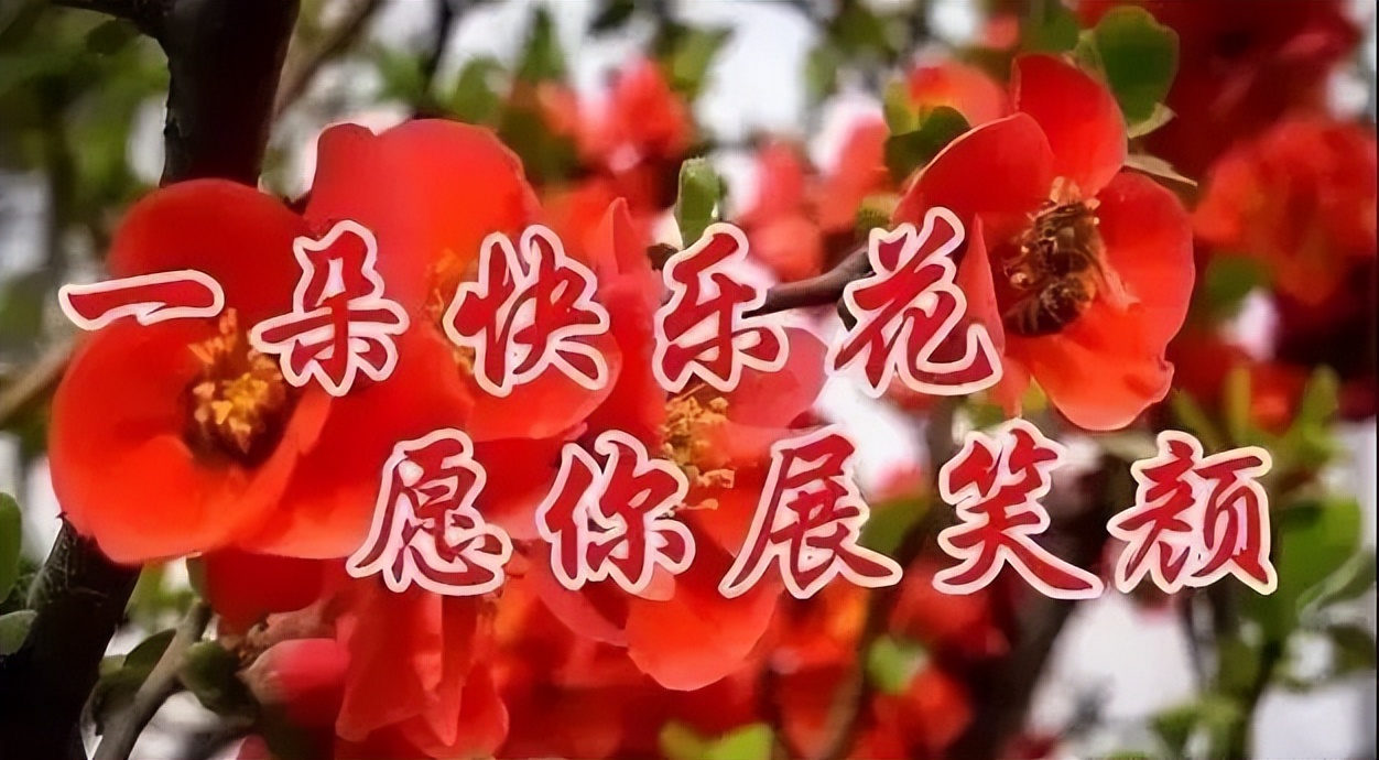最新早上好微信暖心问候语录句子，祝朋友快乐幸福，明天更美好图片
