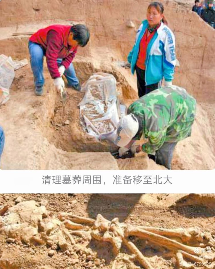 黄镇山：世界陶稻黍文明起源中国万年前