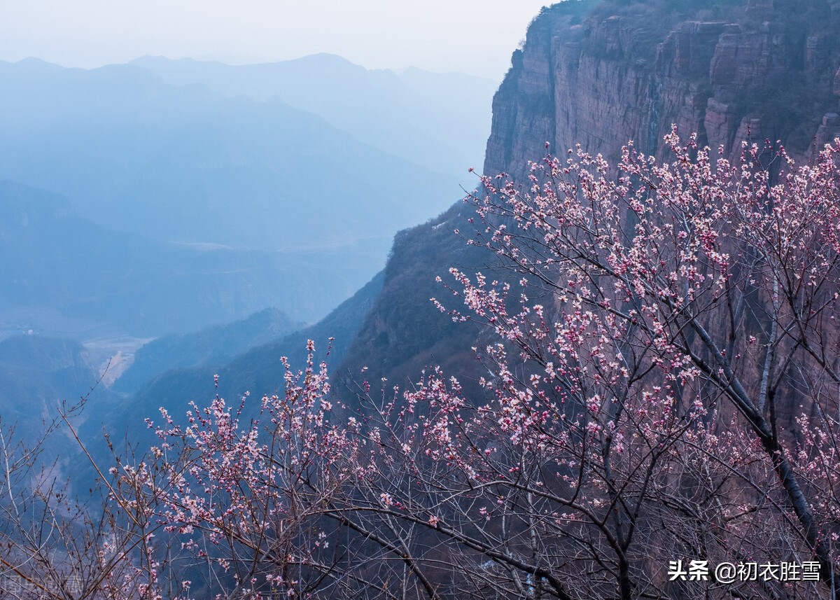 仲春花信之桃花美诗七首：路上桃花亦欢喜，恰是东风二月时