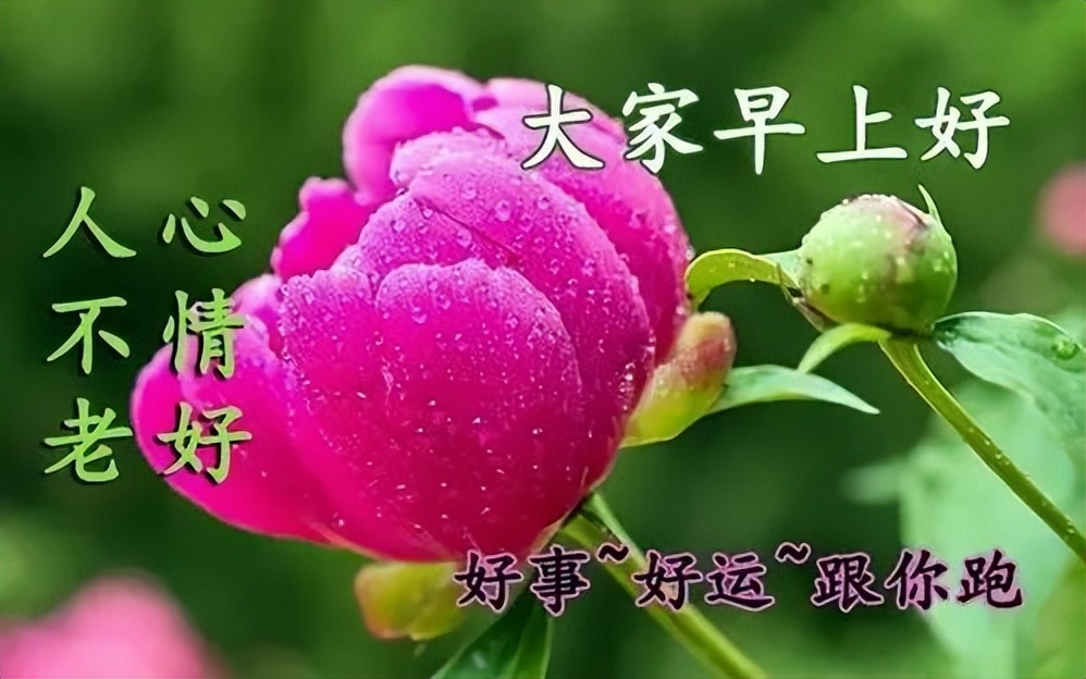 微信漂亮的早上好祝福图片 早晨好祝福语说说 好事好运跟你跑图片