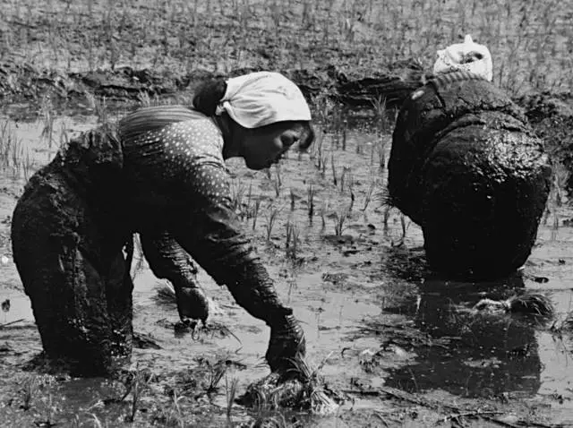 江苏母亲守寡54年，一连培养出13个博士，总结出15字的教子经