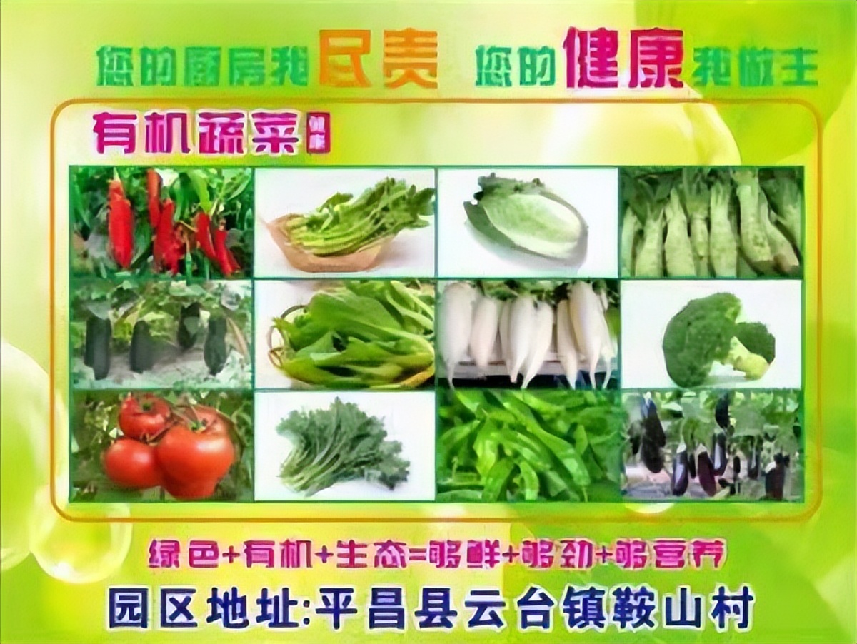 “舌尖”安全有保障 鞍山“高老庄”蔬菜瓜果纯绿色