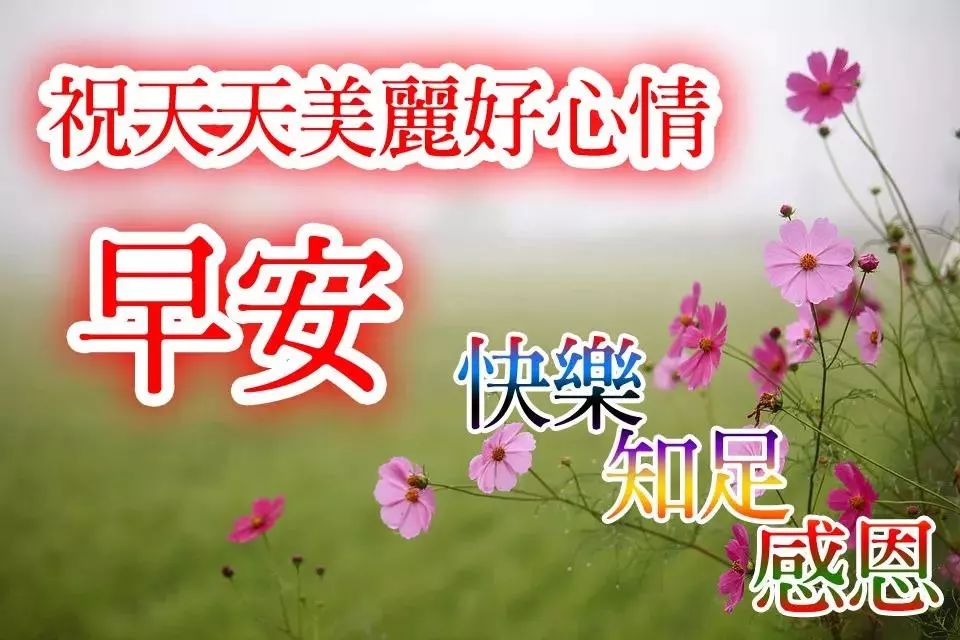 好看的早安问候语图片带字精选 用微笑迎接每一天图片