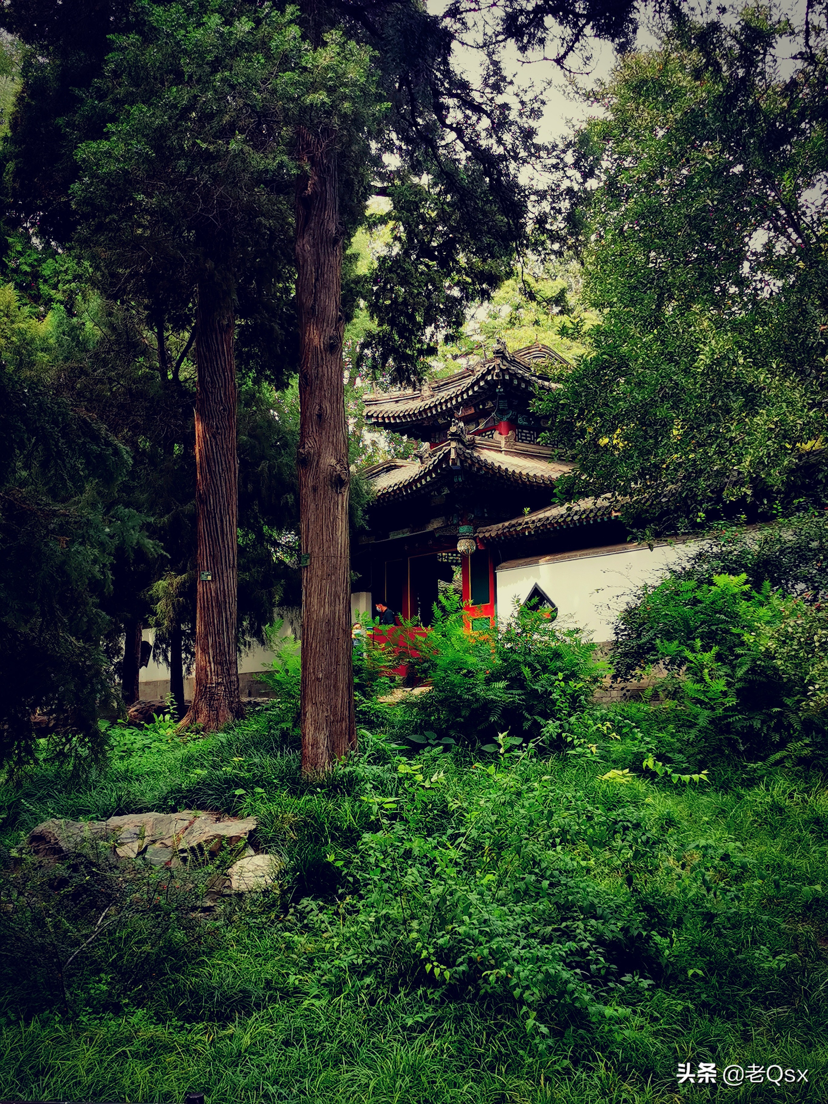 四十年京城情愫
