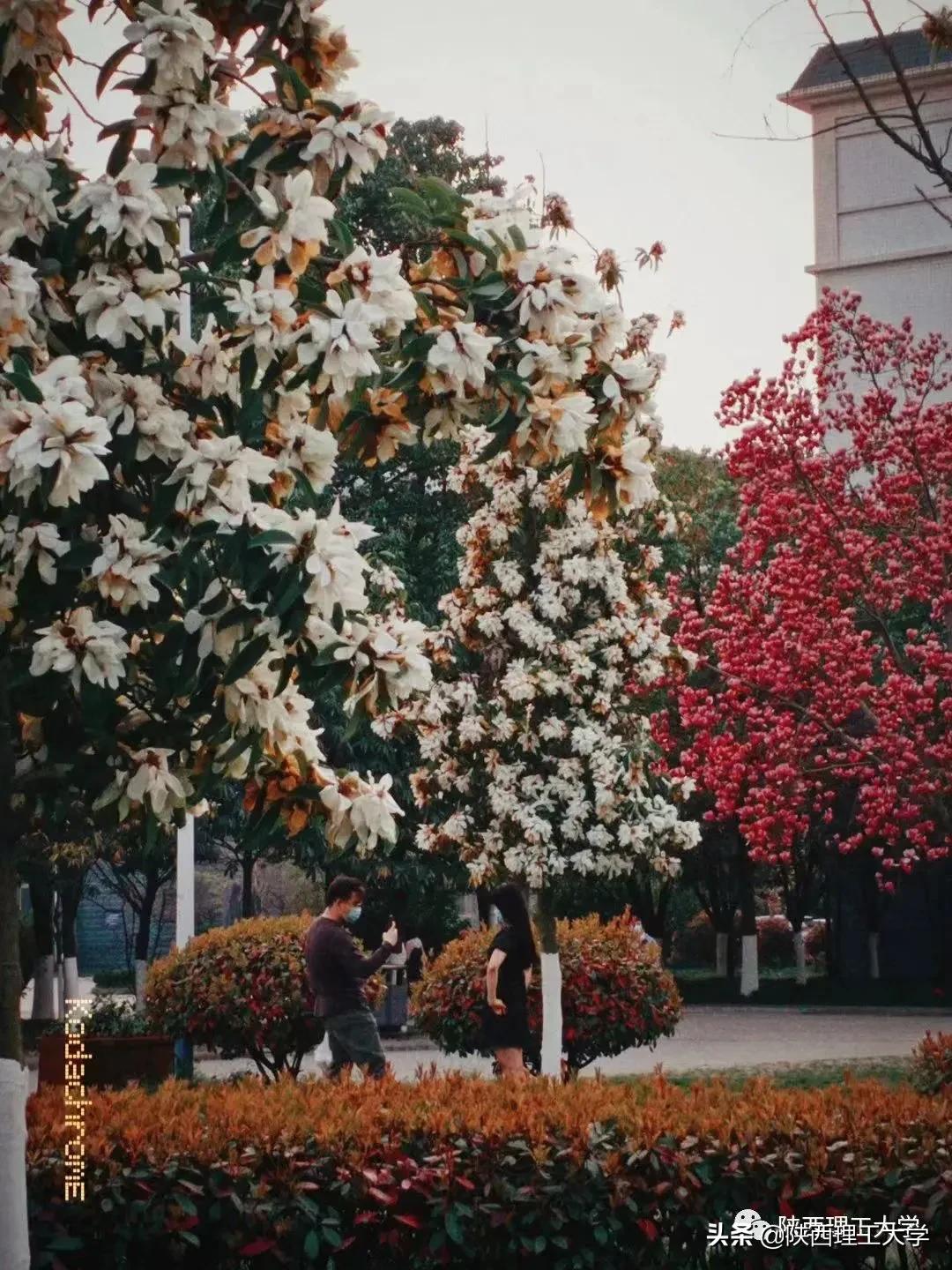 疫情过后，不一样的校园