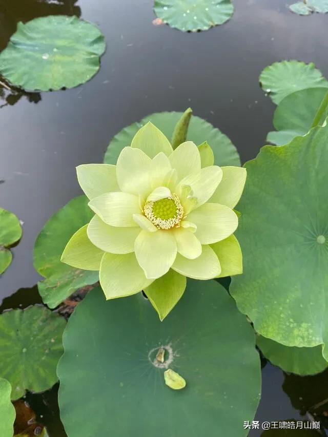 Linux shell awk 用法