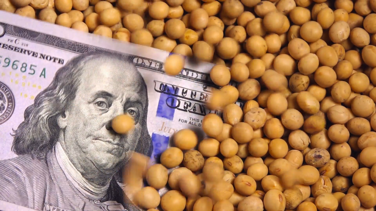 中國連拋775億美債後，買進1677萬噸美大豆，美農民：希望買更多
