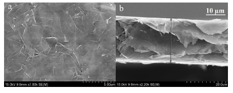 石墨烯纳米片是什么材料(石墨烯纳米片质量分析)