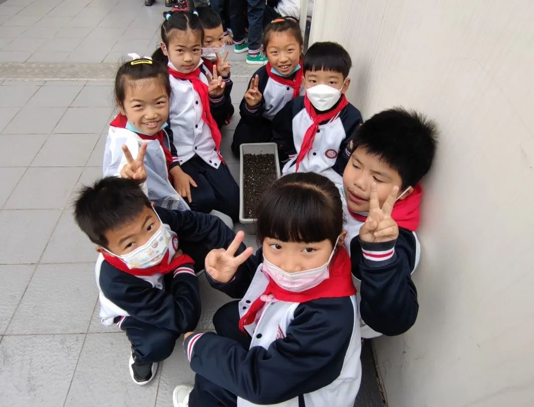 成都高新区朝阳小学开展“节气深耕·清明节气”主题活动