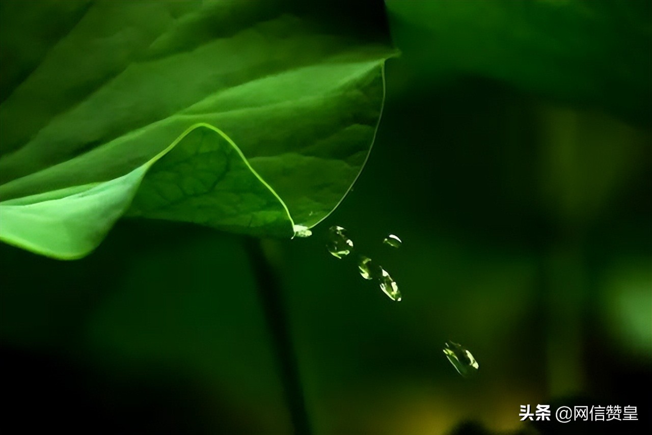 十首古诗致青春：愿我们出走半生，归来仍是少年