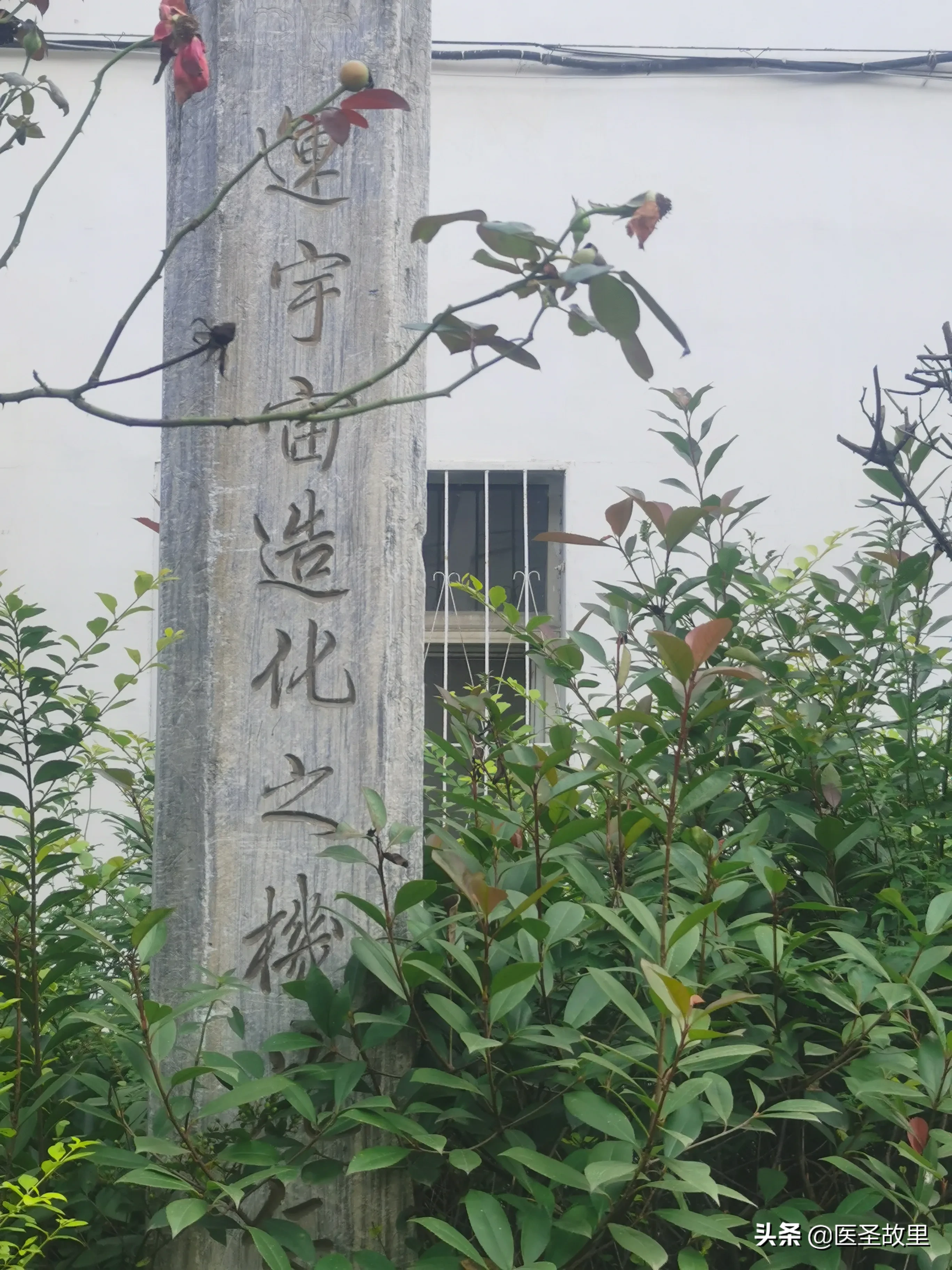 ＃南阳头条＃近日，有幸到南阳城北卧龙区石桥镇采风,听一位老人说