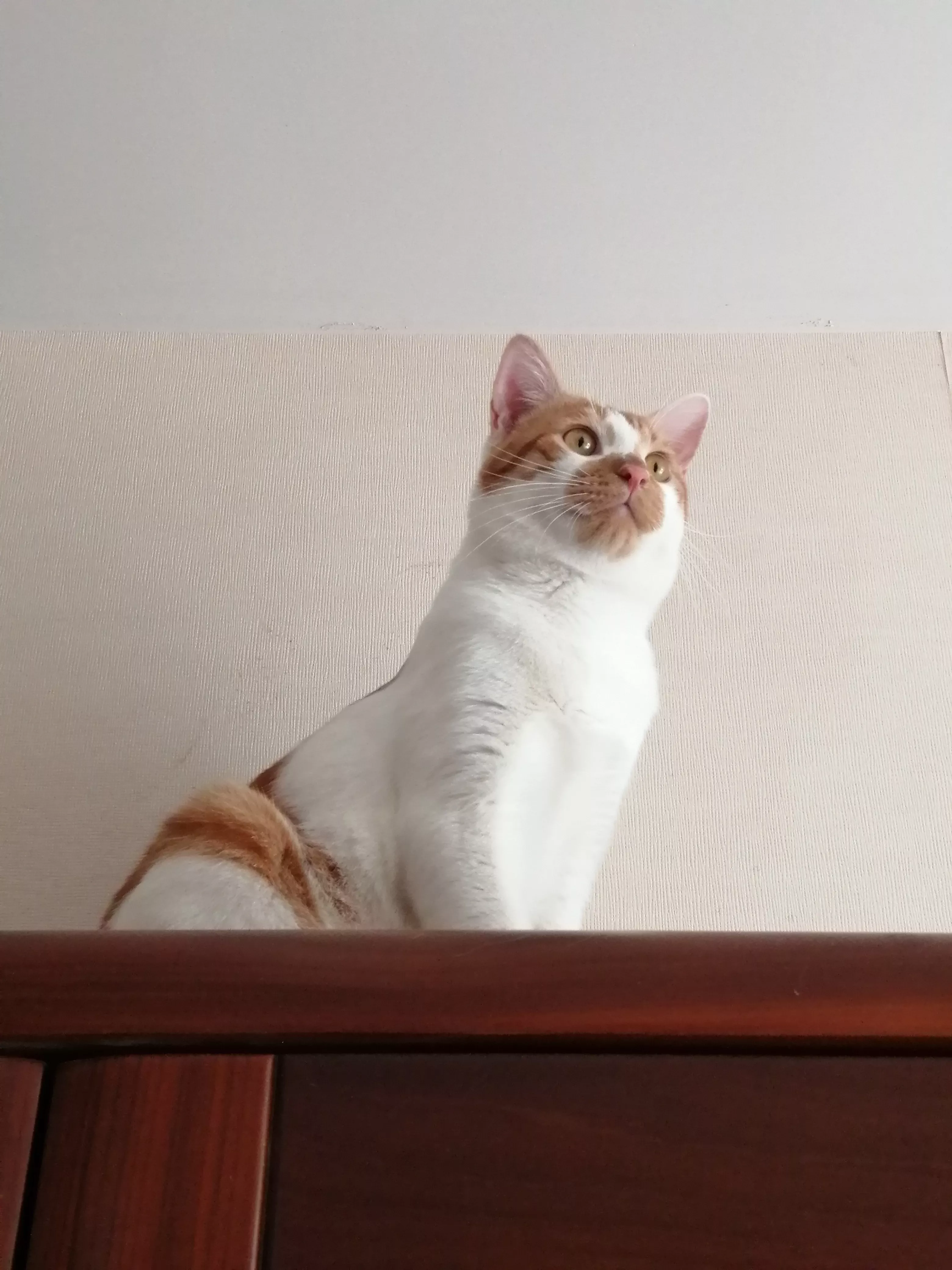 知识点乱账整理3