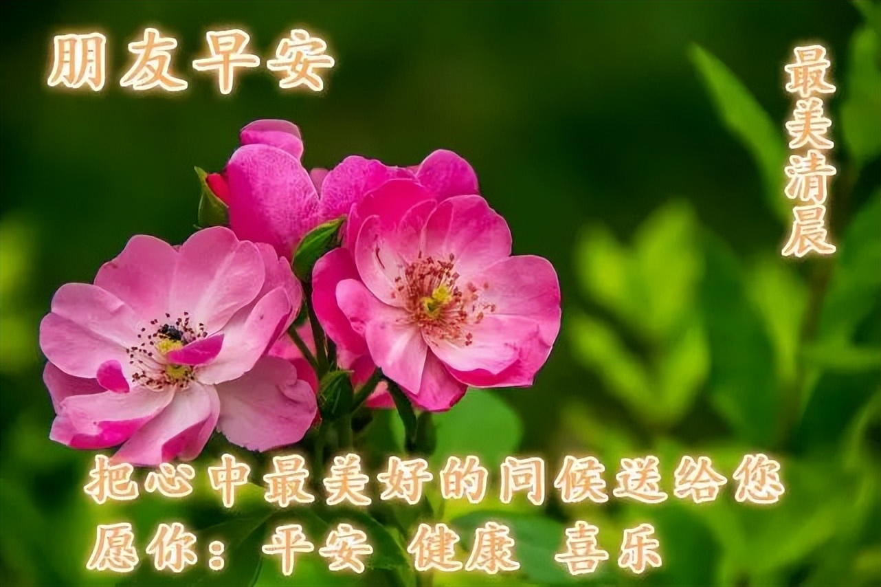 朋友圈早晨好动图美图大全 把心中最美好的问候送给你图片