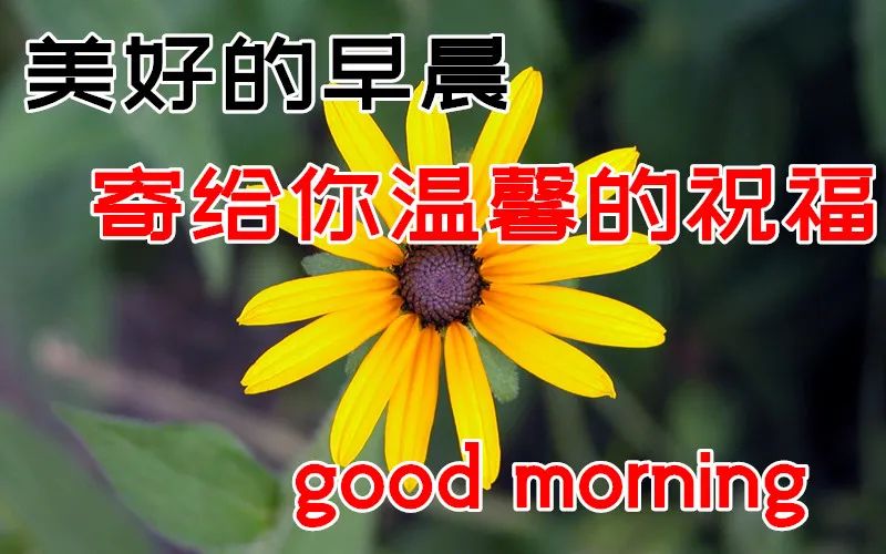 早上好祝福图片 愿所得皆所期、所失皆无碍，时时安好、天天幸福图片
