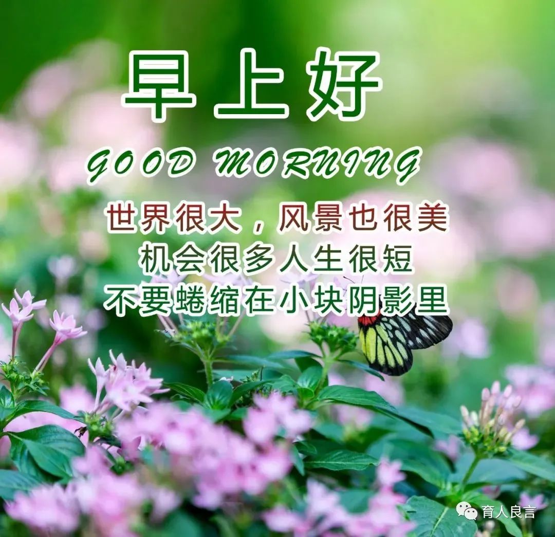 早上好祝福问候正能量语录，朋友圈早安祝福图片