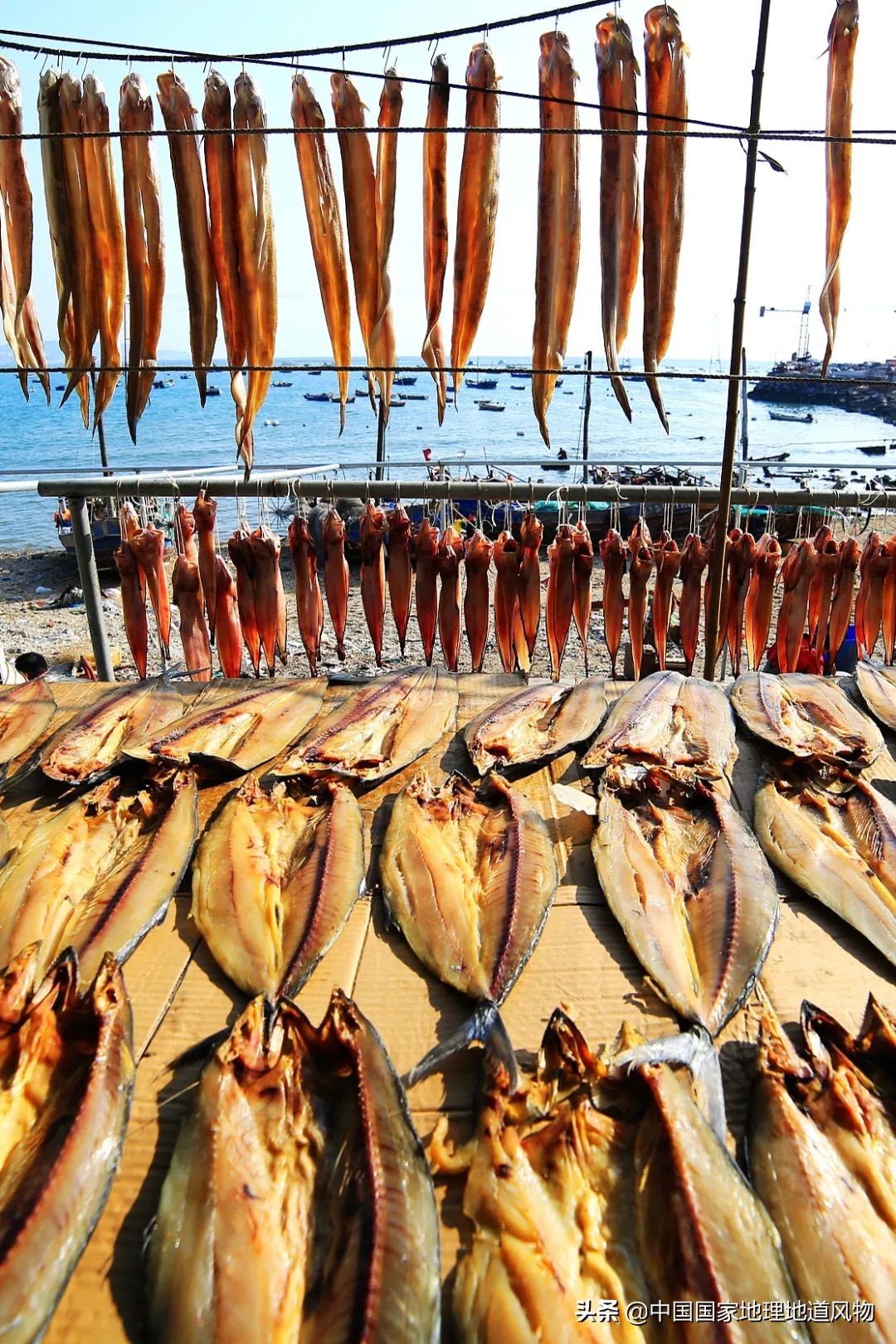 辽宁，被忽略的海鲜大省