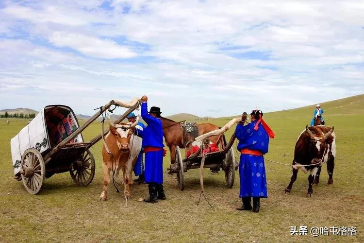 蒙古族订婚风俗（蒙古族订婚礼节）
