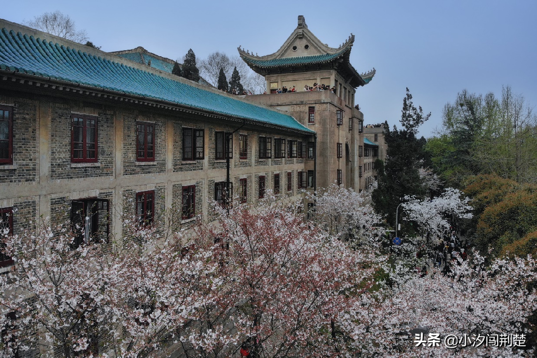 湖北高校段位分布，看看你心仪的大学在哪个段位