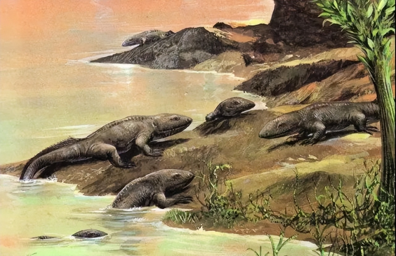已经灭绝的古代两栖动物鱼石螈，以及和它同类的现代近亲生物