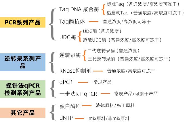 精品推荐 | Abclonal UDG酶－轻松控制气溶胶污染