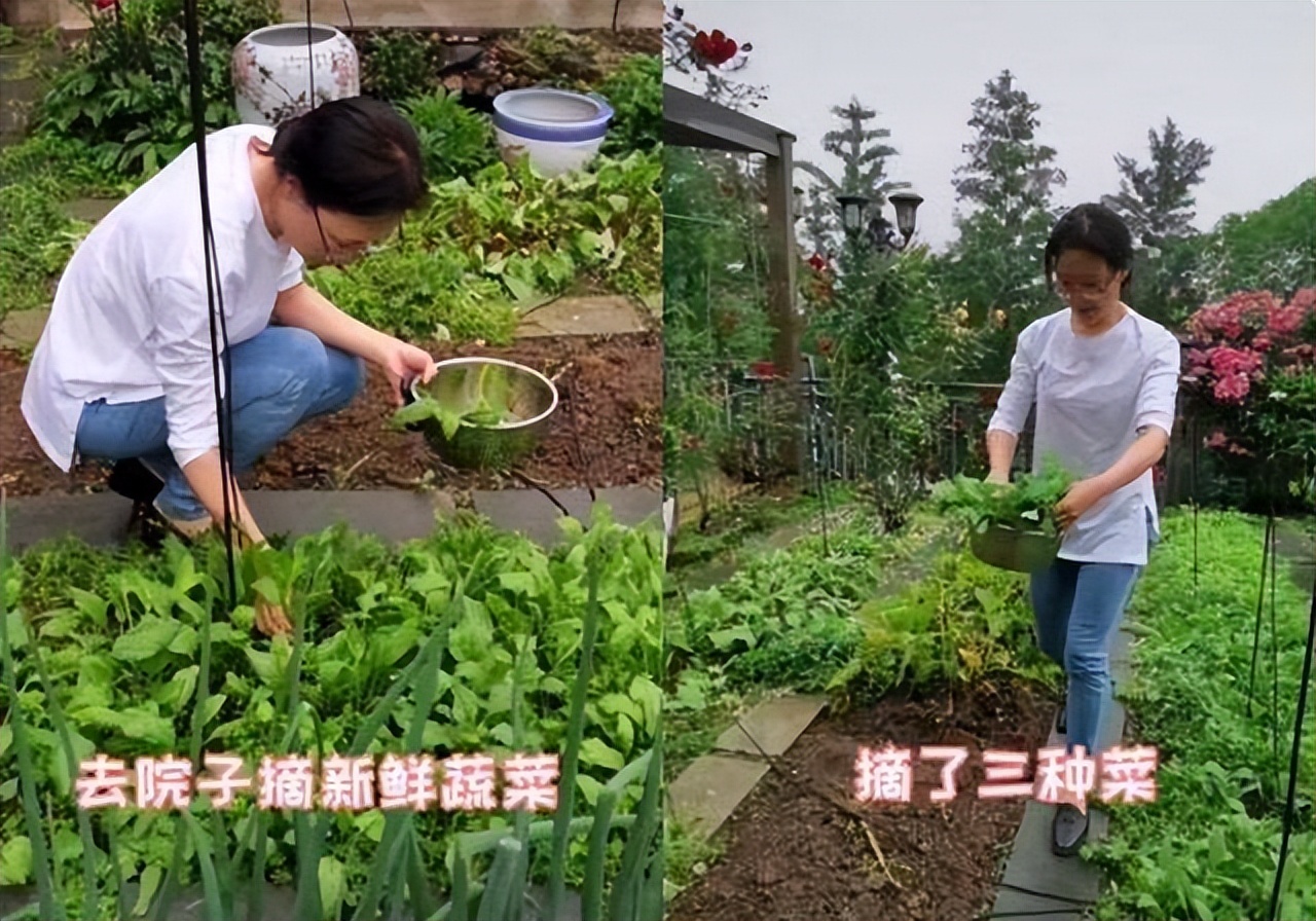 不仅名气大，军衔也高到吓人！这12个明星，个个一身正气堪称清流