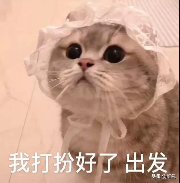 奶酷少年脸成高奢新宠模特?多亏了她满脸的雀斑…