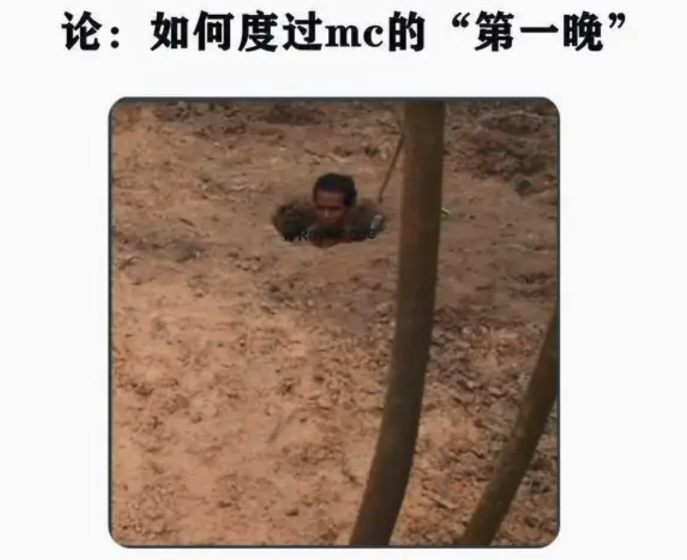 《我的世界》其实是别人的世界？萌新：眼睛会了