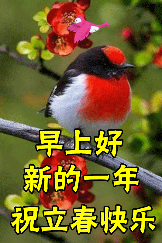 2月4日大年初四立春漂亮的早上好问候图片立春最美早安问候语图片