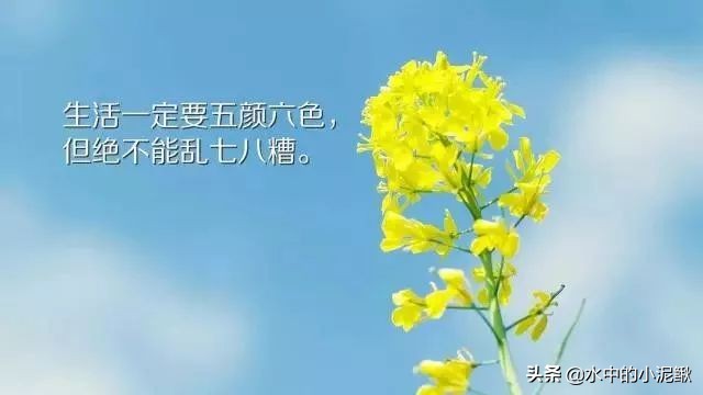 早上好微信早安励志语录分享，3月微信早安图片正能量