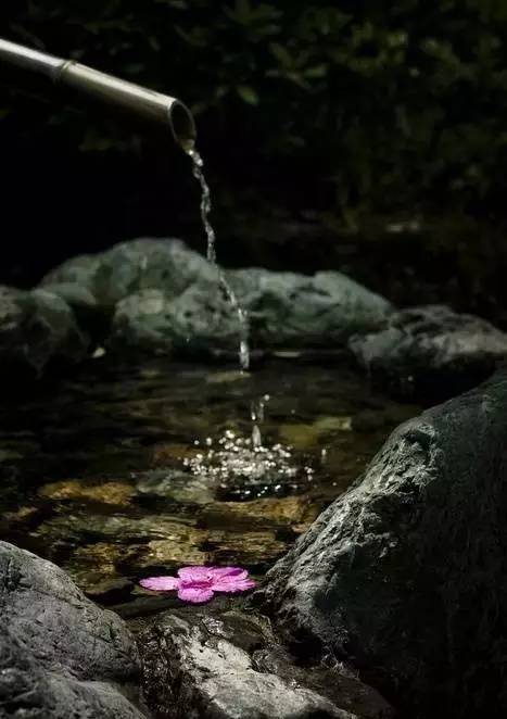 师徒情深！中考作文参考范文《你的馈赠点燃了我》