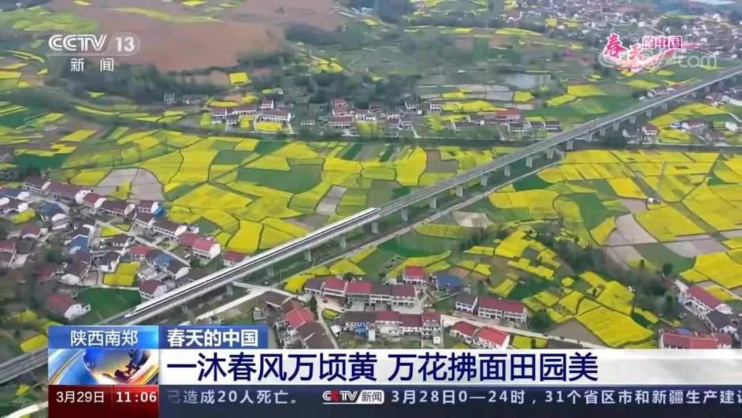 醉美拍點推薦 | 壯美！陜西南鄭油菜花海登陸央視新聞“春天里的中國”