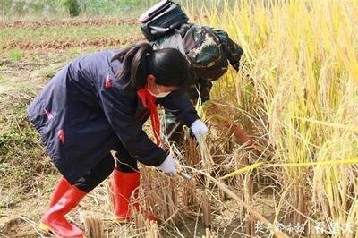 高考后怎么去管理你的时间