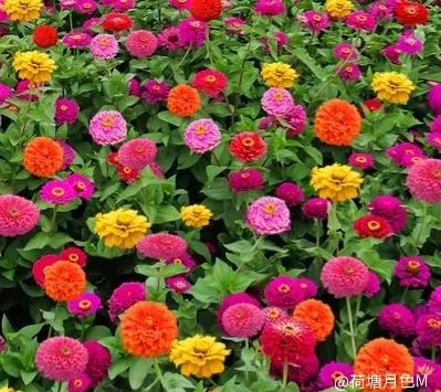 春天里，春风得意马蹄疾，一日看尽长安花