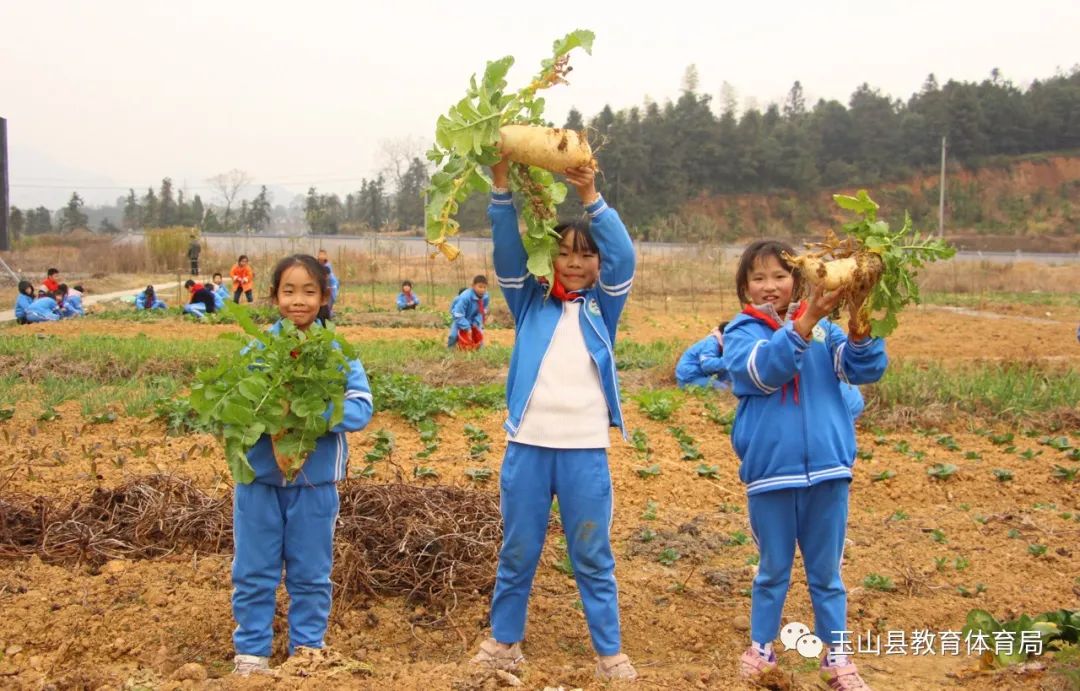 玉山县仙岩小学深入推进劳动教育实践活动纪实