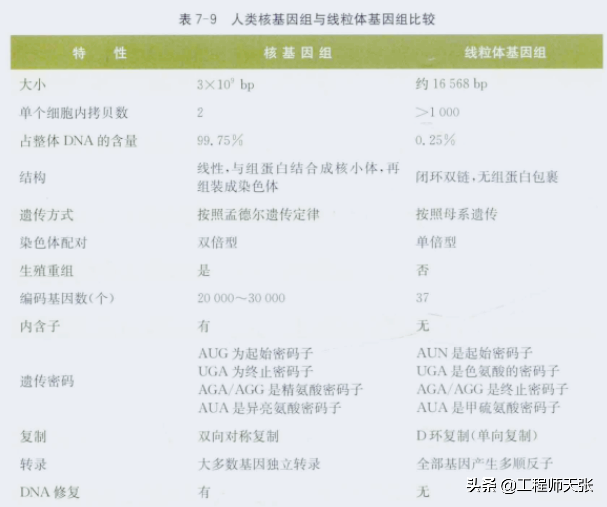 杭州杀妻案细节曝光！常规方法无效，最后线粒体DNA技术锁定证据
