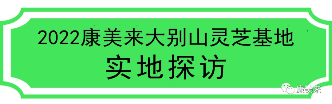 2022康美来大别山灵芝基地实地探访