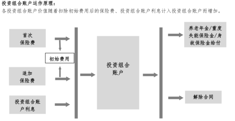 收益高达5.3%？支付宝里的年金险这么牛？